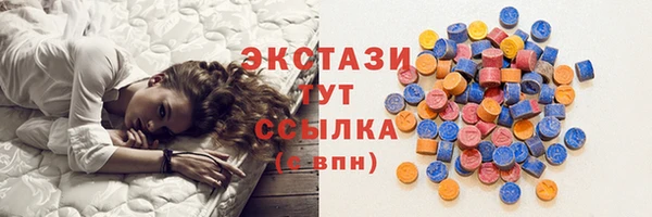 соль ск Новозыбков
