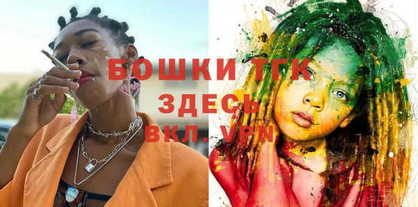 соль ск Новозыбков