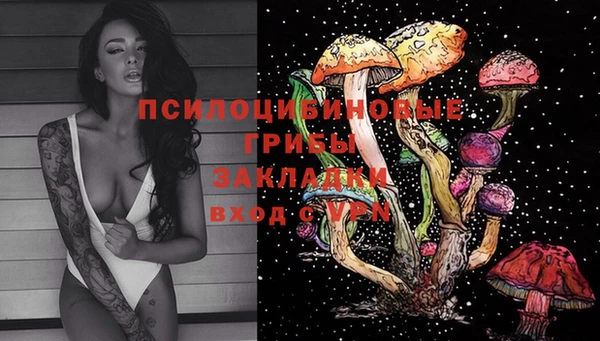 соль ск Новозыбков