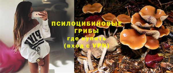 прущая мука Новодвинск