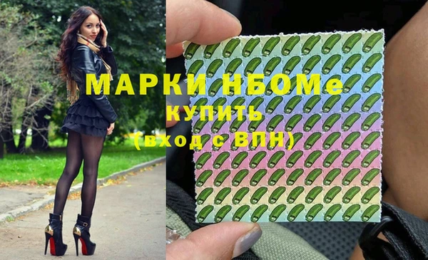 соль ск Новозыбков