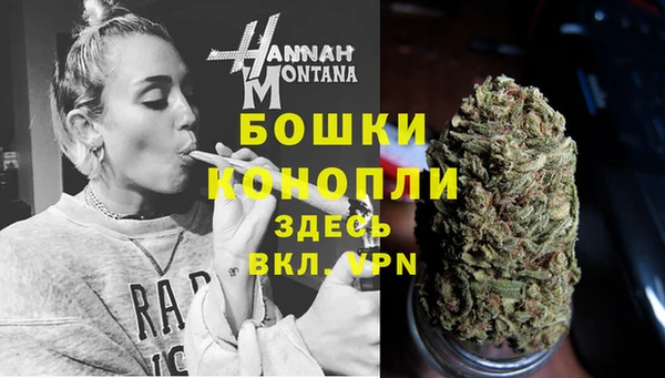 соль ск Нея